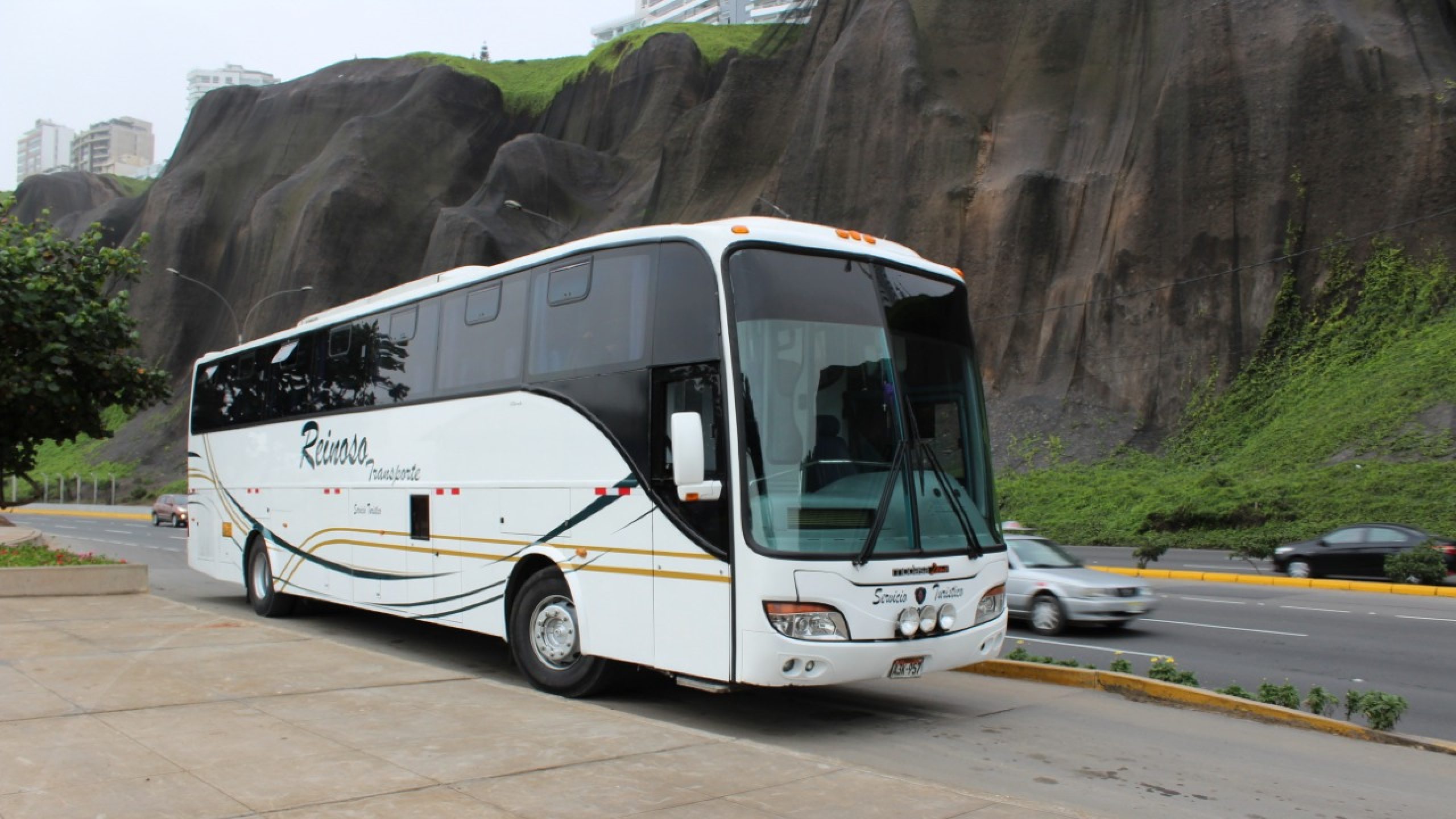 REINOSO TRANSPORTE EIRL